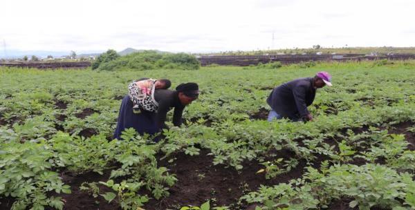 AGR et moyens de subsistance